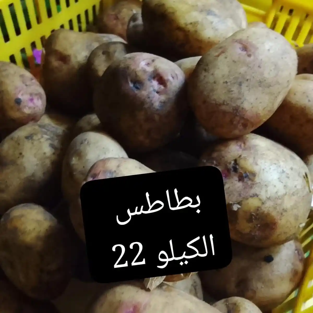 عروض اسواق مصر الصفحة رقم 2