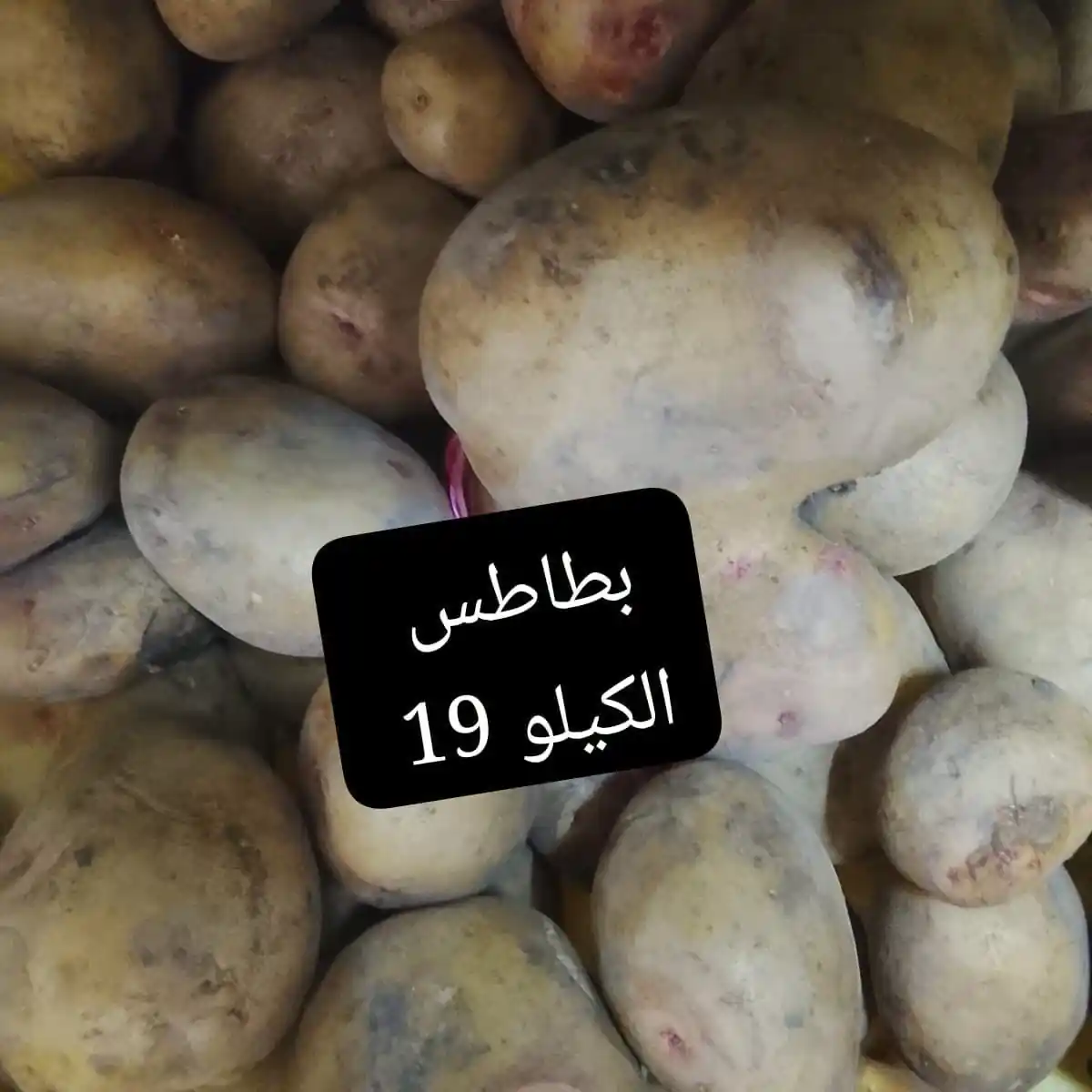 عروض اسواق مصر الصفحة رقم 3