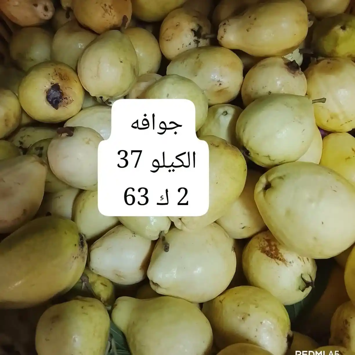 عروض اسواق مصر الصفحة رقم 3