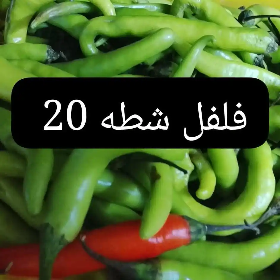 عروض اسواق مصر الصفحة رقم 3