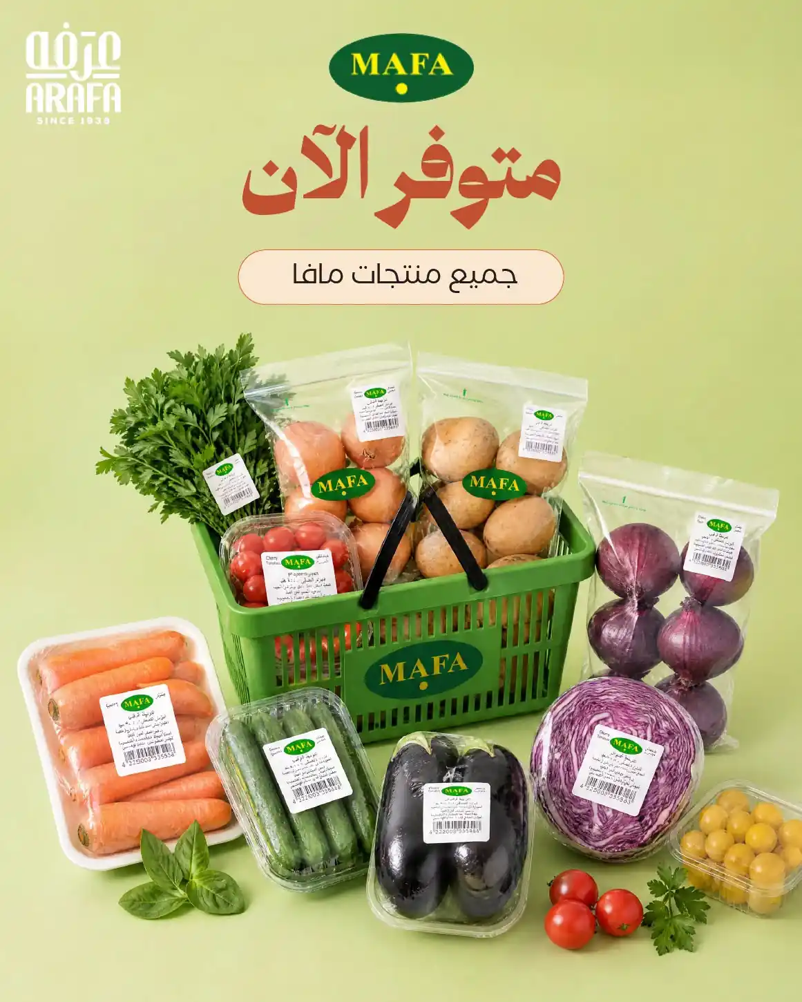 عروض عرفة اخوان الصفحة رقم 3