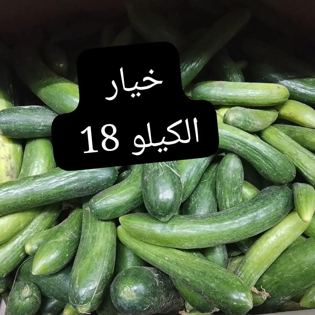 عروض اسواق مصر الصفحة رقم 4