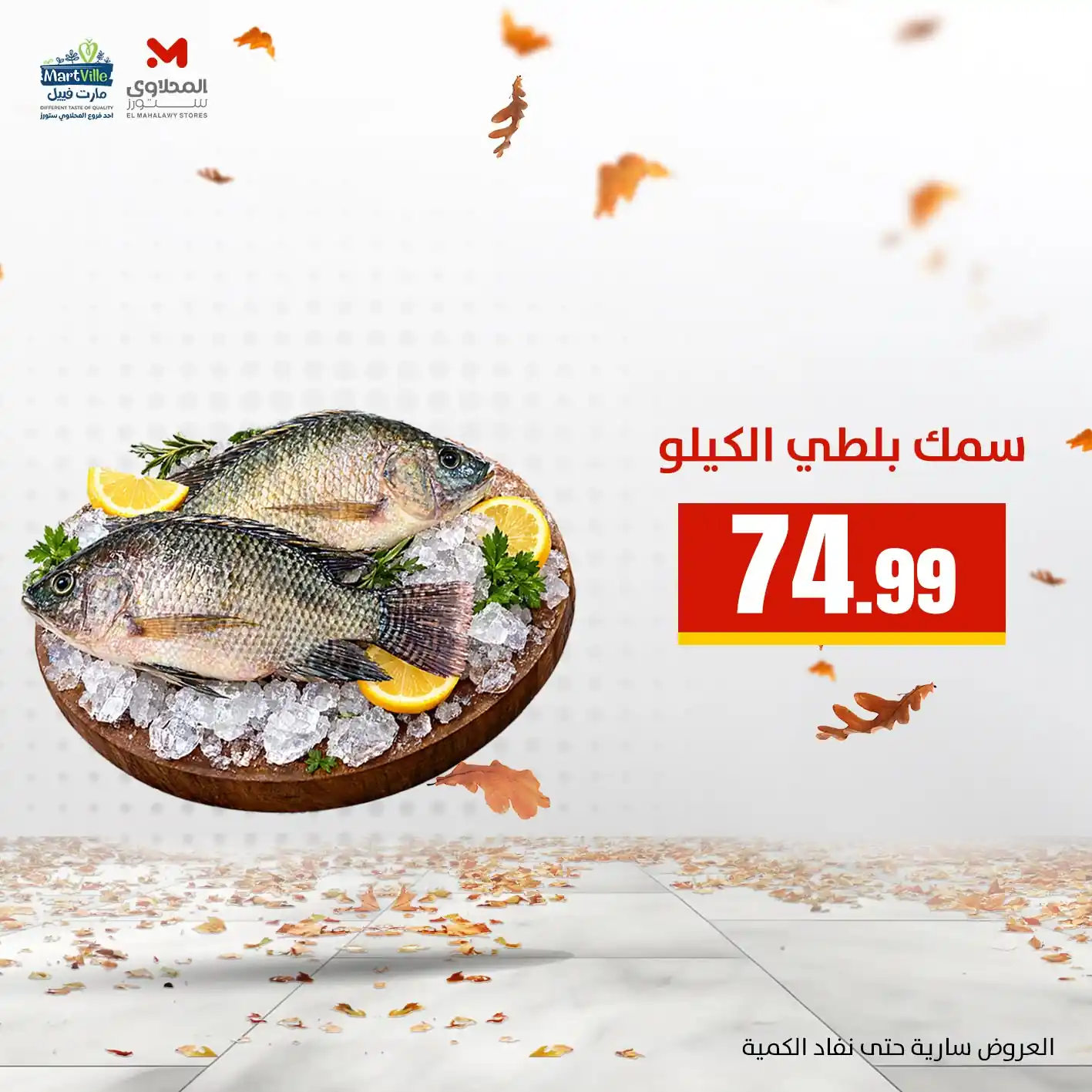 عروض المحلاوى ستورز صفحة 5