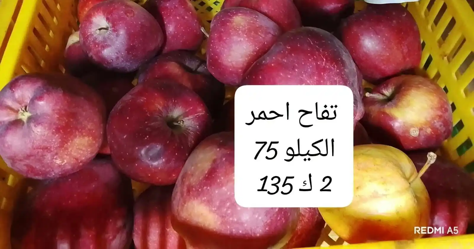 عروض اسواق مصر الصفحة رقم 8